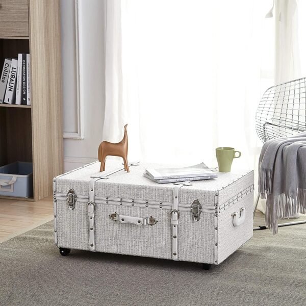 DormCo Texture® Brand Trunk - White Threaded Silver - Image 4