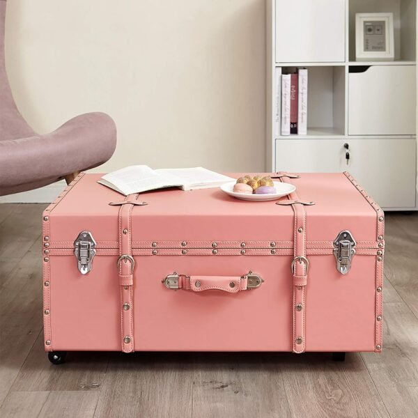 Texture® Brand Trunk - Darkened Rose Quartz - Image 4