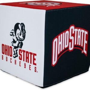 Goldie 17-inch Square Ohio State University Buckeyes Ottoman for College Fans
