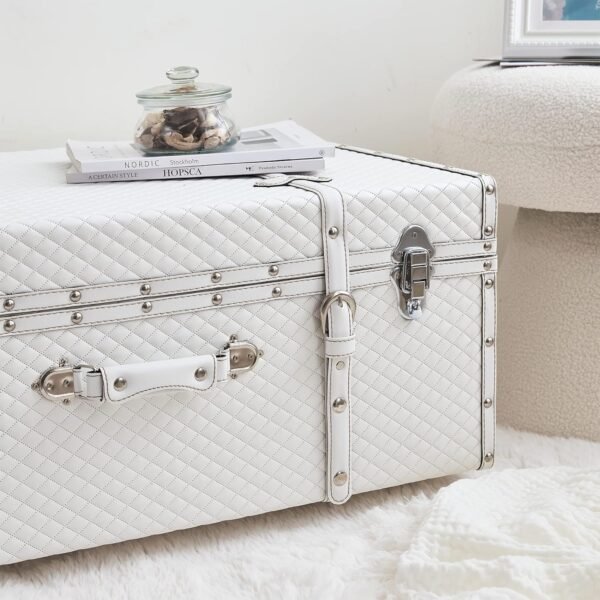 Texture® Brand Trunk - White Diamond - Image 4